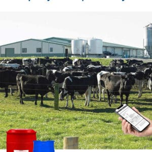 Dairy Hygiene Solutions