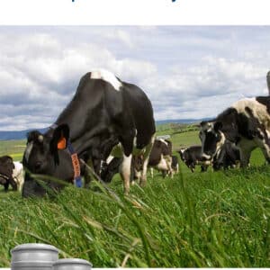 Udder Health Solutions